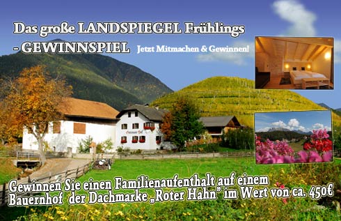 Gewinnspiel-Cover-Online