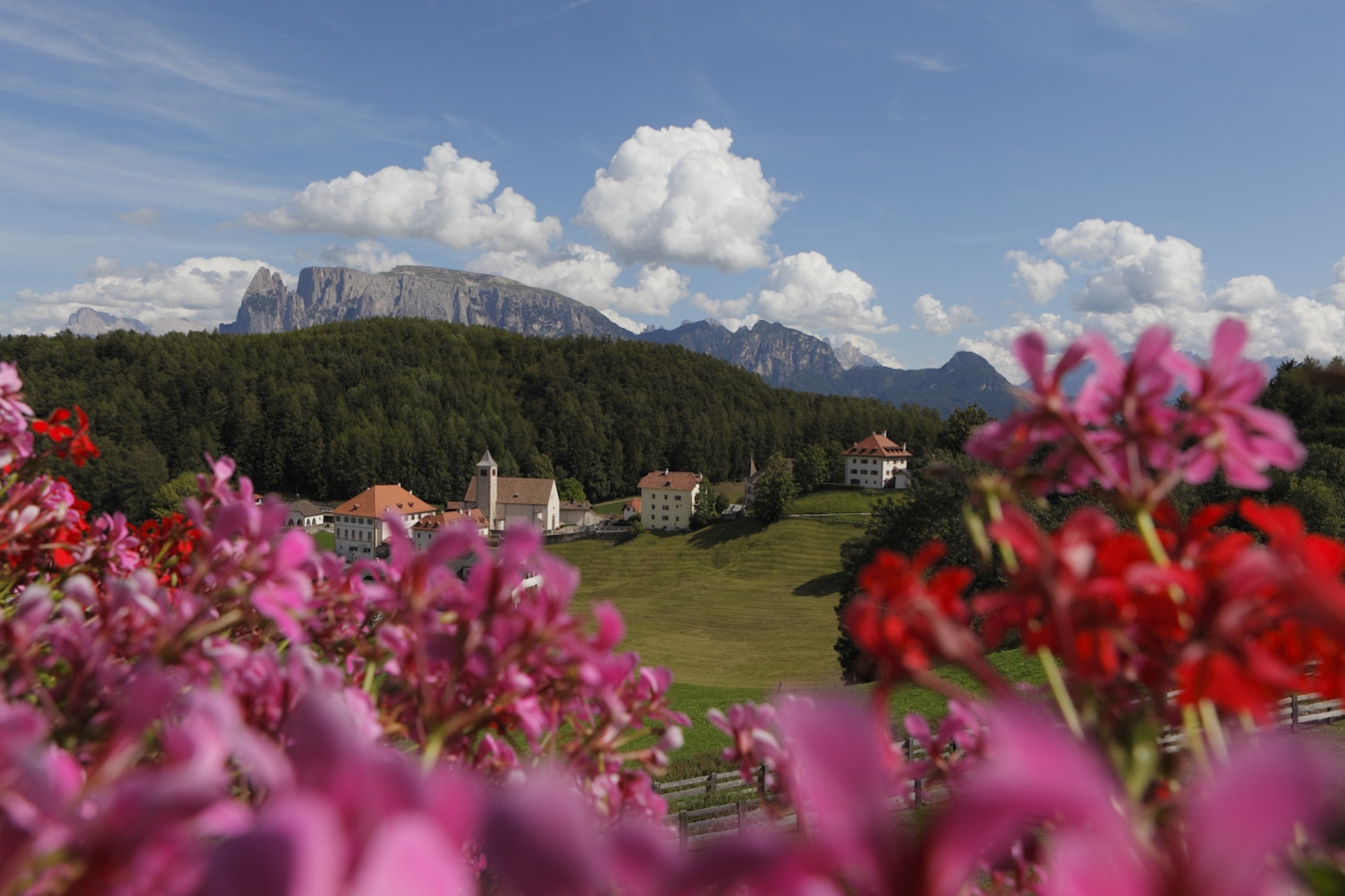 big_1roter_hahn_so_189