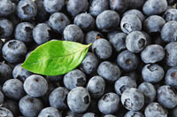 LS-Blaubeeren-small