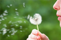 Pollenallergie-small