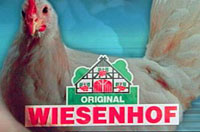 wiesenhof